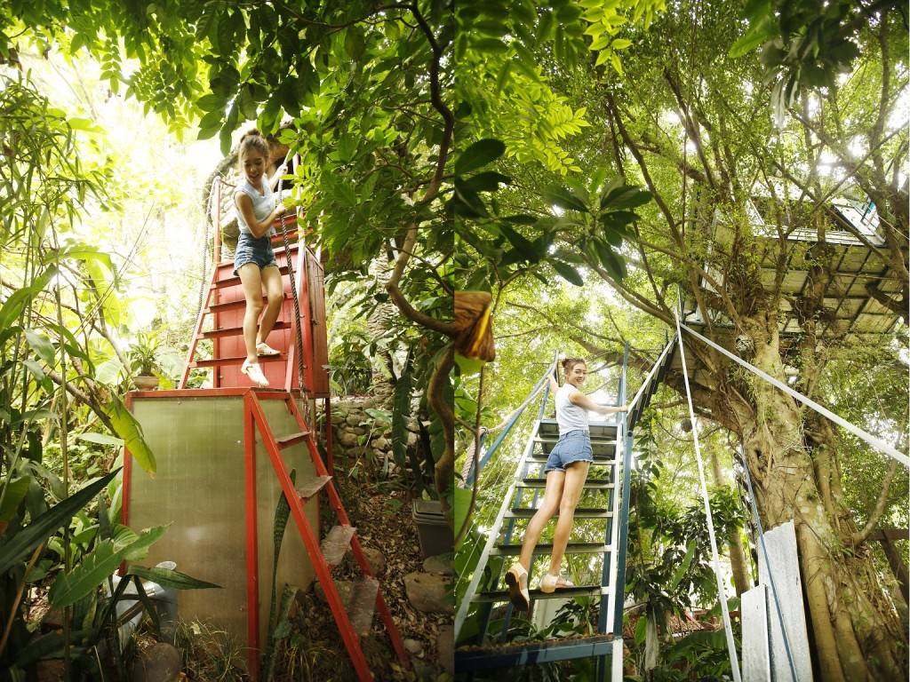 airbnb_vietnam_treehouse6