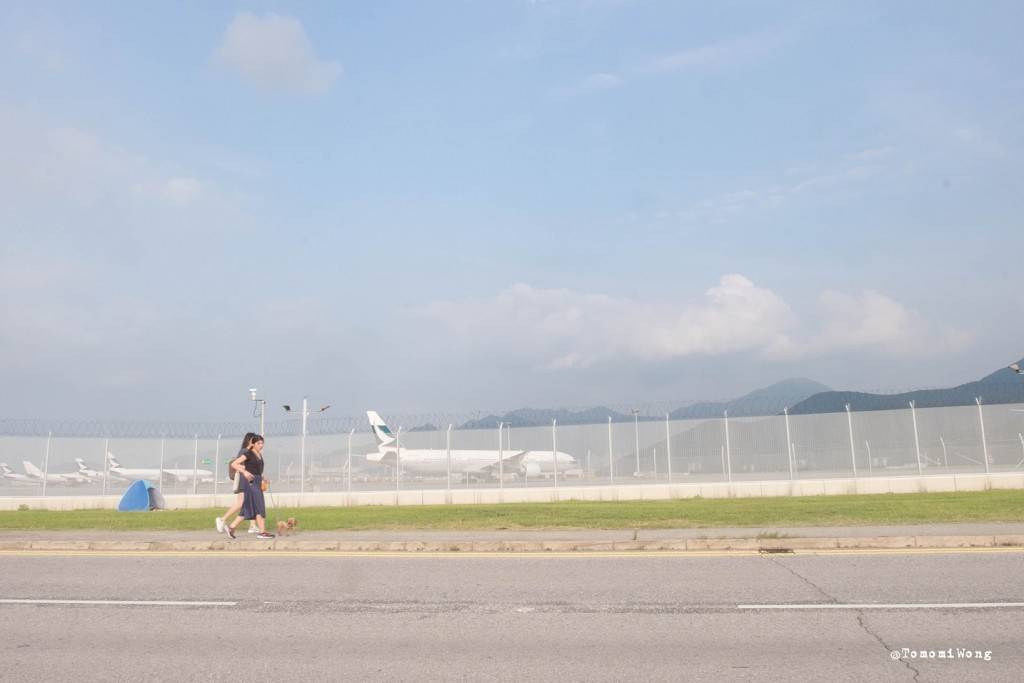 機場維修區 沿途有些攝影迷拍攝飛機、野餐、溜狗和踩單車，十分寫意。